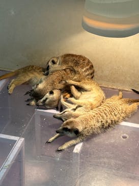 アニタッチ 東京ドームシティに投稿された画像（2025/1/3）