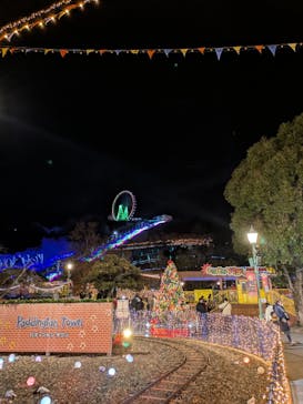 さがみ湖MORI MORIに投稿された画像（2025/1/3）