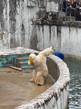 名古屋市東山動植物園に投稿された画像（2025/1/3）