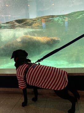 伊豆・三津シーパラダイスに投稿された画像（2025/1/3）