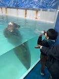 下田海中水族館に投稿された画像（2025/1/3）