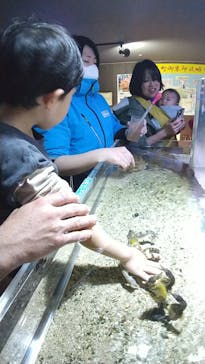 ゼロ距離水族館 伊勢シーパラダイスに投稿された画像（2025/1/3）