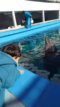 ゼロ距離水族館 伊勢シーパラダイスに投稿された画像（2025/1/3）