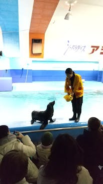 ゼロ距離水族館 伊勢シーパラダイスに投稿された画像（2025/1/3）