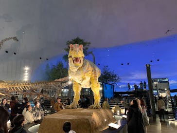 福井県立恐竜博物館に投稿された画像（2025/1/3）