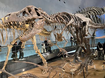 福井県立恐竜博物館に投稿された画像（2025/1/3）