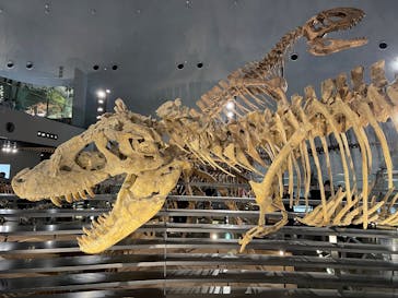 福井県立恐竜博物館に投稿された画像（2025/1/3）