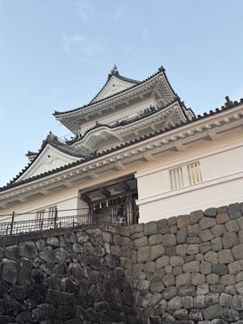 小田原城に投稿された画像（2025/1/3）