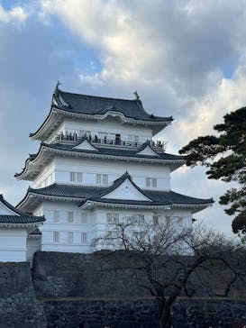 小田原城に投稿された画像（2025/1/3）