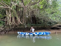 沖縄海うさぎ・海あしびに投稿された画像（2025/1/3）