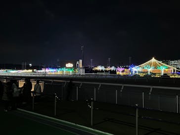 東京メガイルミに投稿された画像（2025/1/3）