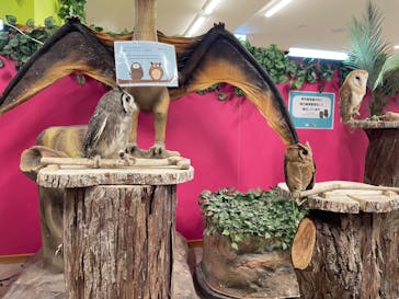 アニタッチ 東京ドームシティに投稿された画像（2025/1/3）