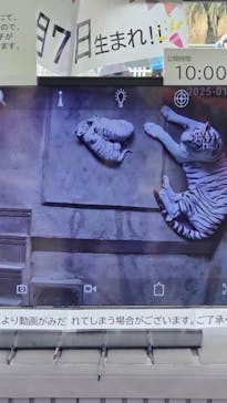 東武動物公園に投稿された画像（2025/1/3）