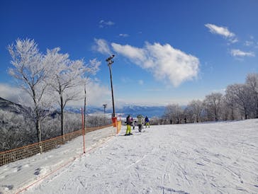 星野リゾート　ネコマ マウンテンに投稿された画像（2025/1/3）