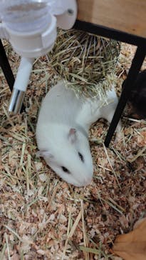 Moff アニマル カフェ イーアス 高尾店に投稿された画像（2025/1/3）