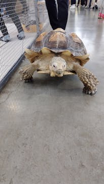 Moff アニマル カフェ イーアス 高尾店に投稿された画像（2025/1/3）