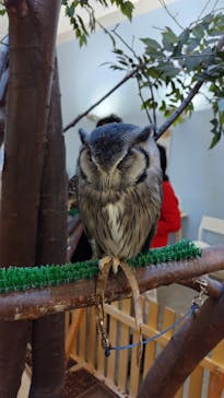 Moff アニマル カフェ イーアス 高尾店に投稿された画像（2025/1/3）