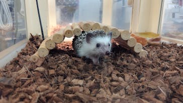 Moff アニマル カフェ イーアス 高尾店に投稿された画像（2025/1/3）