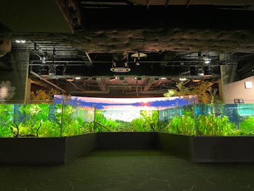 カワスイ 川崎⽔族館に投稿された画像（2025/1/3）