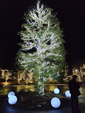 いばらきフラワーパークに投稿された画像（2025/1/3）