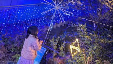 アクロス福岡イルミネーションに投稿された画像（2025/1/3）