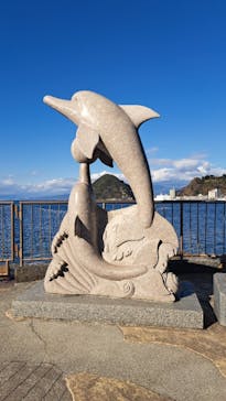 伊豆・三津シーパラダイスに投稿された画像（2025/1/3）