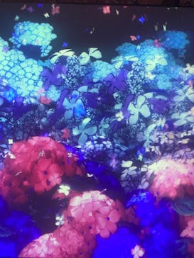 動き出す浮世絵展 TOKYOに投稿された画像（2025/1/3）