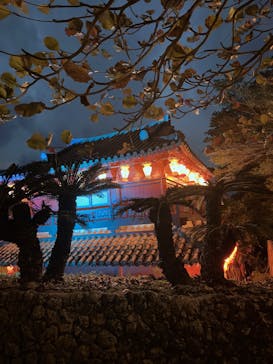 体験王国 むら咲むらに投稿された画像（2025/1/3）