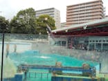 しながわ水族館に投稿された画像（2025/1/3）