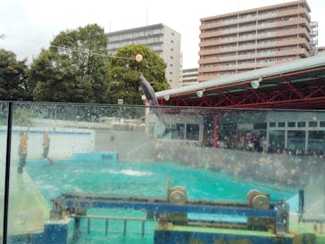 しながわ水族館に投稿された画像（2025/1/3）