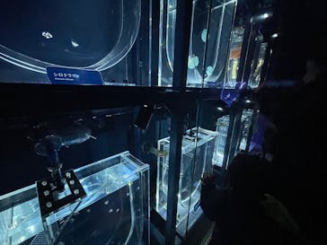 すみだ水族館に投稿された画像（2025/1/3）