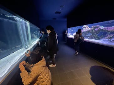 すみだ水族館に投稿された画像（2025/1/3）