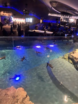 すみだ水族館に投稿された画像（2025/1/3）