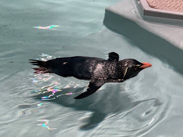 AOAO SAPPOROに投稿された画像（2025/1/3）