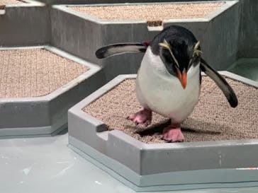 AOAO SAPPOROに投稿された画像（2025/1/3）