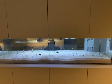 AOAO SAPPOROに投稿された画像（2025/1/3）