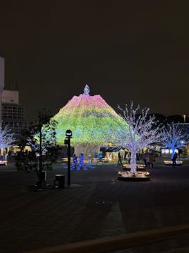 東京メガイルミに投稿された画像（2025/1/3）
