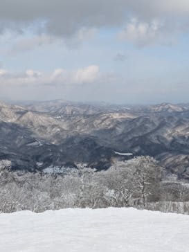 オニコウベスキー場に投稿された画像（2025/1/3）