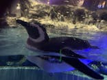 すみだ水族館に投稿された画像（2025/1/3）