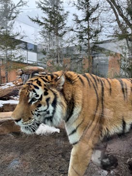 那須どうぶつ王国に投稿された画像（2025/1/3）