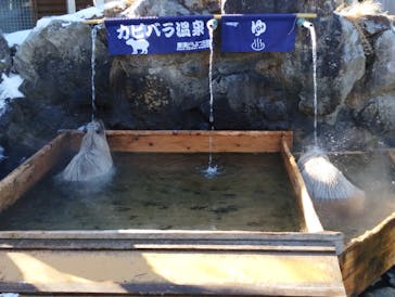 那須どうぶつ王国に投稿された画像（2025/1/3）