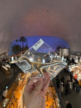 福井県立恐竜博物館に投稿された画像（2025/1/3）