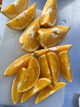 樋の口園に投稿された画像（2025/1/3）