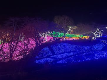 さがみ湖MORI MORIに投稿された画像（2025/1/3）