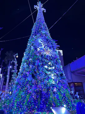 ひらかたパークに投稿された画像（2025/1/3）