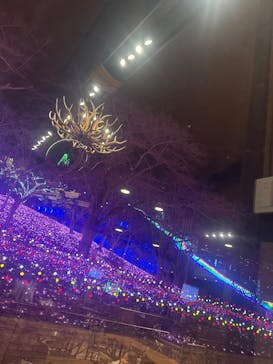 さがみ湖MORI MORIに投稿された画像（2025/1/3）