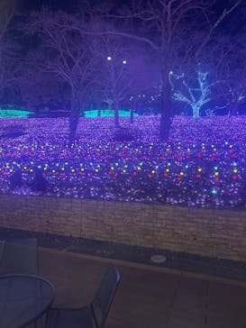 さがみ湖MORI MORIに投稿された画像（2025/1/3）