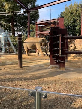 恩賜上野動物園に投稿された画像（2025/1/3）