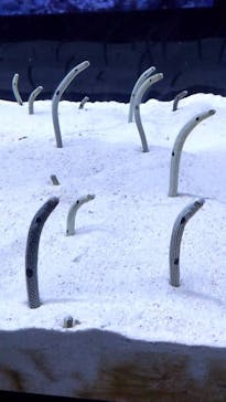 すみだ水族館に投稿された画像（2025/1/3）