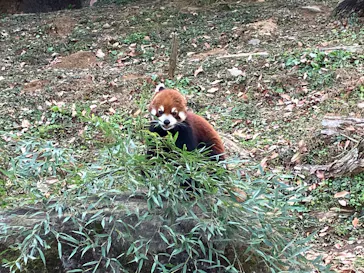 多摩動物公園に投稿された画像（2025/1/3）